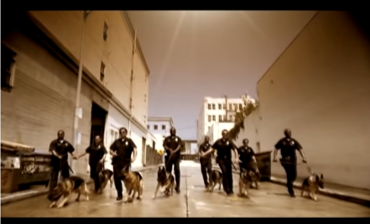 image.png.f2e0f898cdb2b98f2569e9efa11a1cf4.png